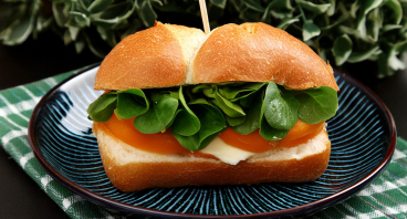 En sandwich med ost er en klassisk og simpel sandwich lavet med skiver af ost mellem to stykker brød.